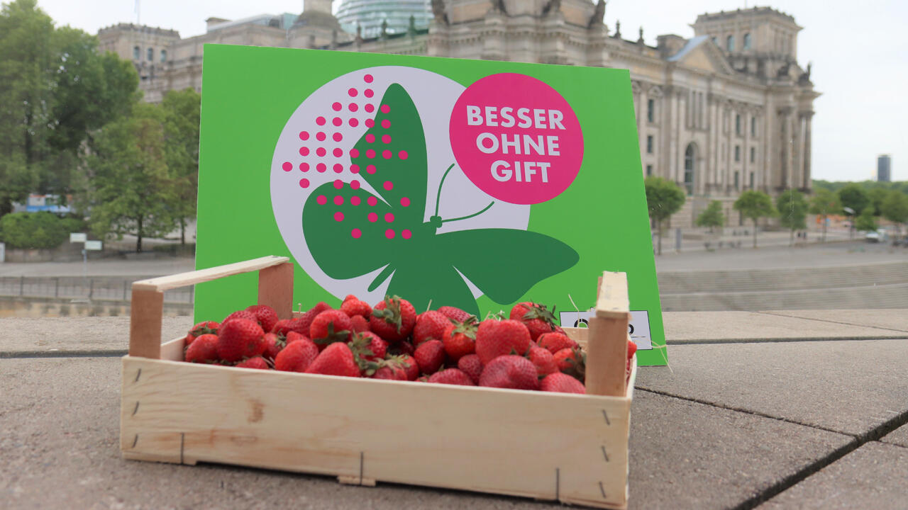 Erdbeeren #BesserOhneGift