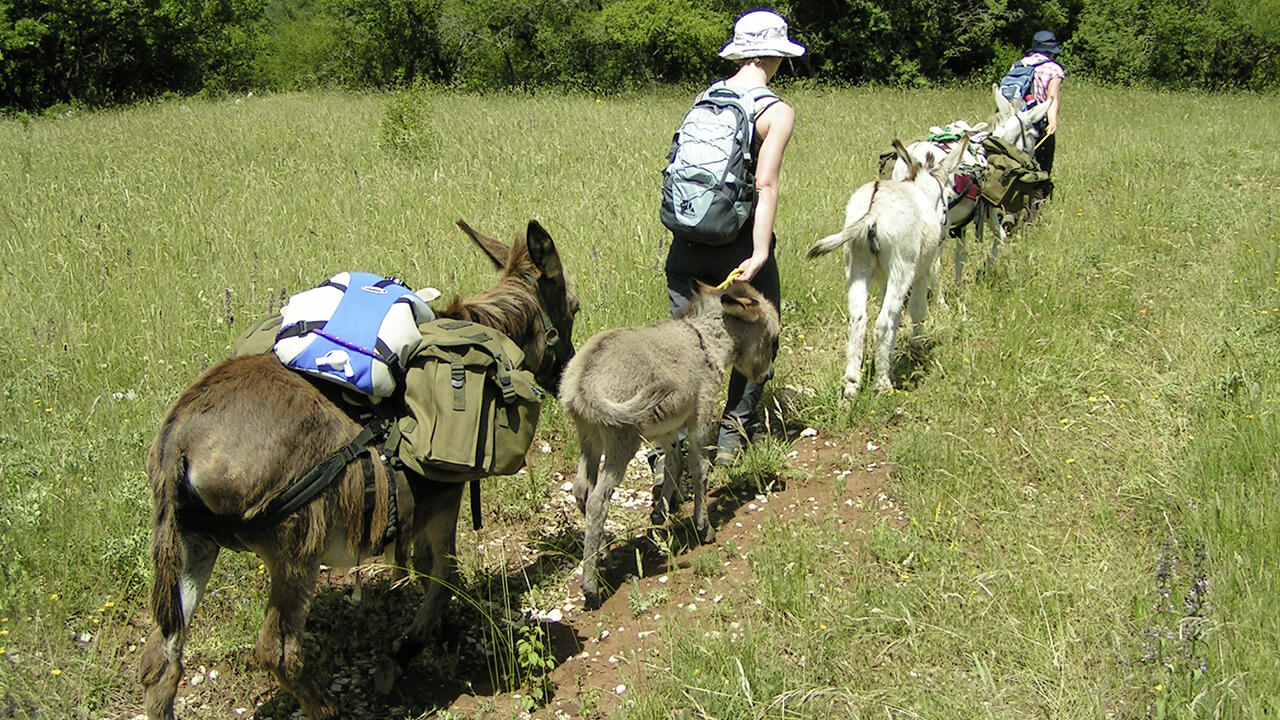 Mit dem Esel durch italienische Bergdörfer wandern.