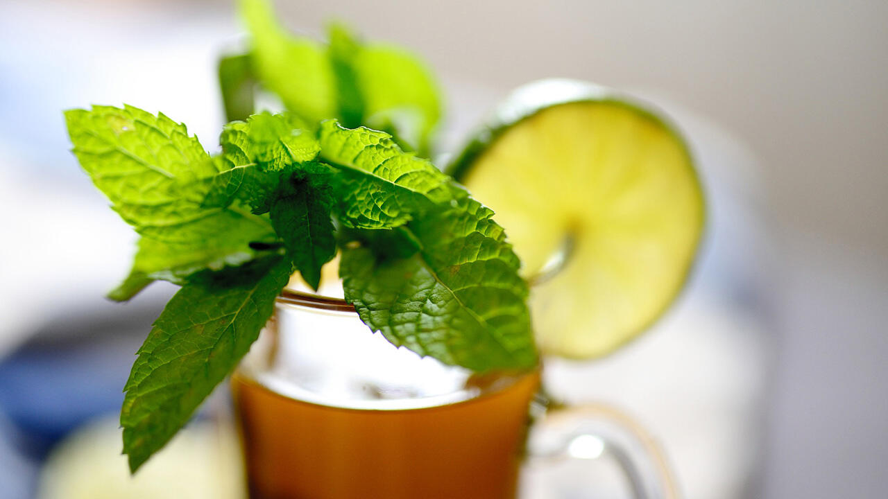 Frische Kräuter im Garten? Dann ab damit in die selbst gemachte Limonade!