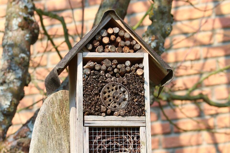 Ein Dach aus Holz oder Dachpappe schützt die Insekten vor Regen. Ein Dach aus Holz oder Dachpappe schützt die Insekten vor Regen.