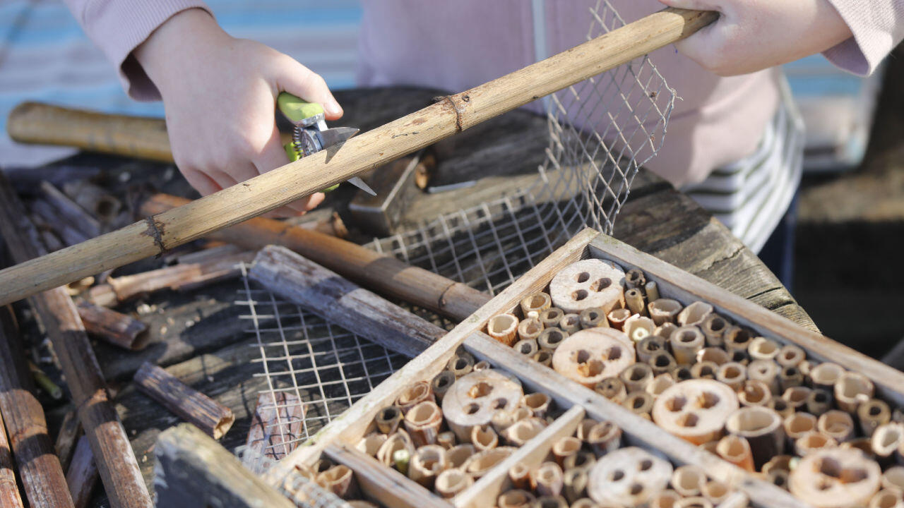 Für das Insektenhotel bohren Sie Löcher mit bis zu 10 mm Durchmesser in die Holzstämme.