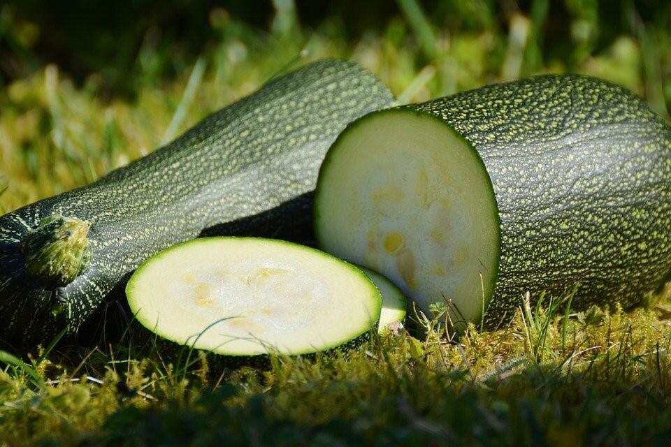 Gekaufte Zucchini sind gezüchtet und können deshalb immer roh verzehrt werden, bei Zucchinis aus dem eigenen Anbau kommt es auf den Geschmack an. Gekaufte Zucchini sind gezüchtet und können deshalb immer roh verzehrt werden, bei Zucchinis aus dem eigenen Anbau kommt es auf den Geschmack an.