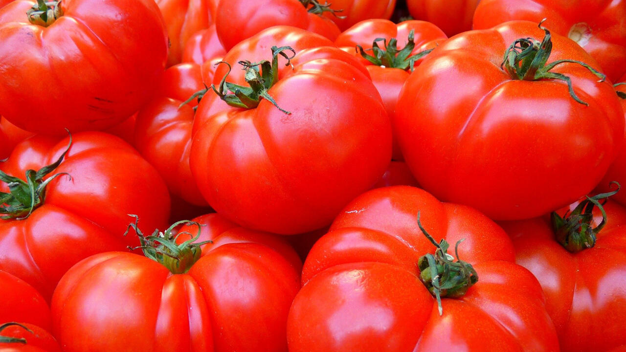 Aus vollreifen Tomaten lässt sich Ketchup ganz einfach selbst herstellen. Aus vollreifen Tomaten lässt sich Ketchup ganz einfach selbst herstellen.