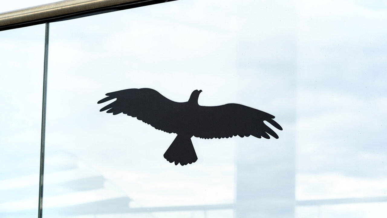 Greifvogelsilhouetten an Fensterscheiben sind nicht wirksam gegen Vogelschlag.