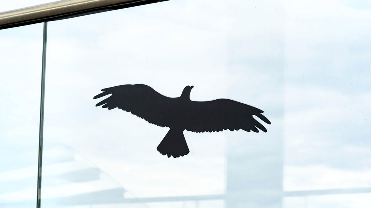 Greifvogelsilhouetten an Fensterscheiben sind nicht wirksam gegen Vogelschlag. Greifvogelsilhouetten an Fensterscheiben sind nicht wirksam gegen Vogelschlag.