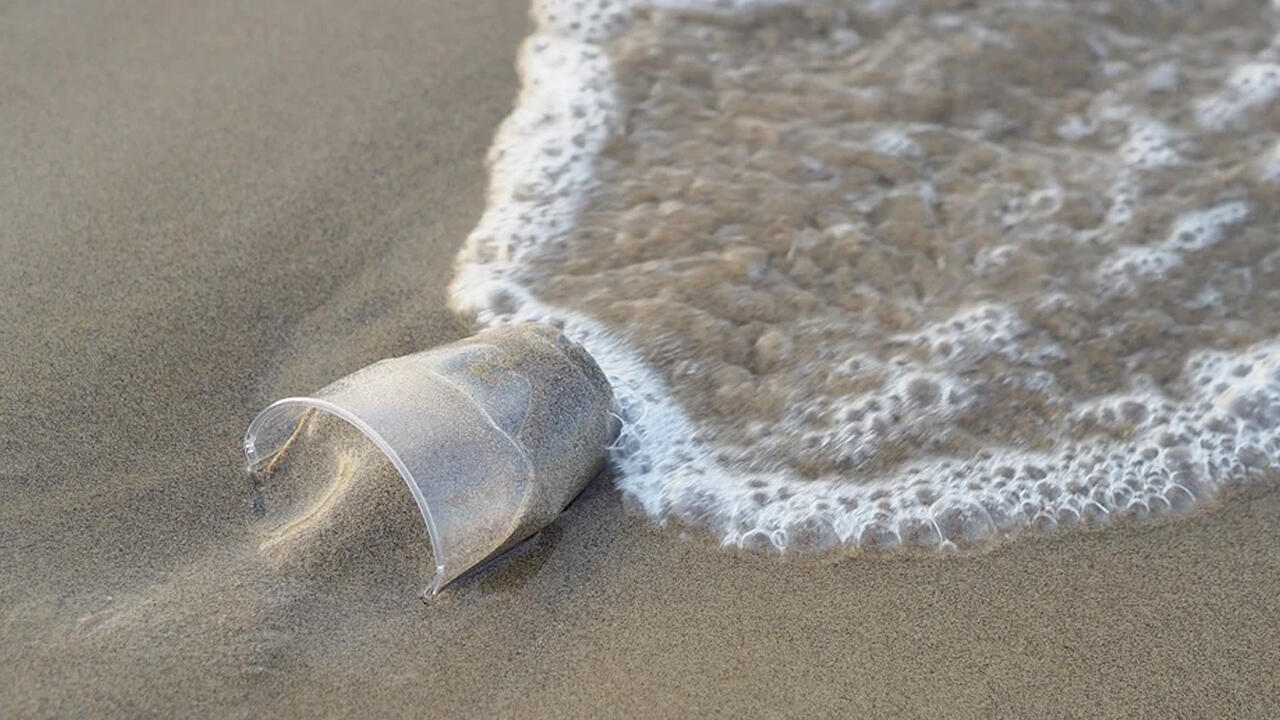 Verschmutzung der Meere: Ein Plastikbecher wird am Strand angespült Verschmutzung der Meere: Ein Plastikbecher wird am Strand angespült