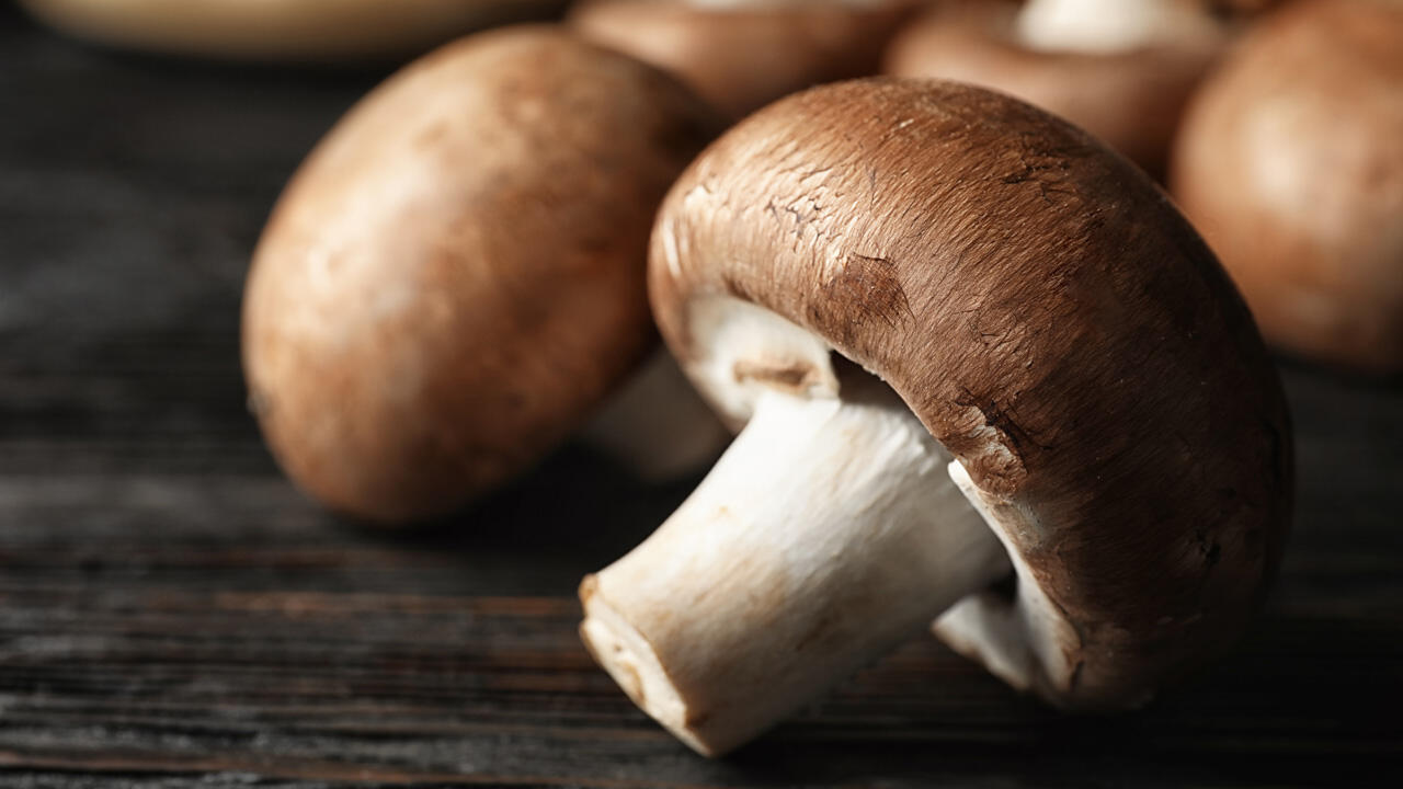 - ÖKO-TEST gesund? essen: Ist Champignons Rohe das