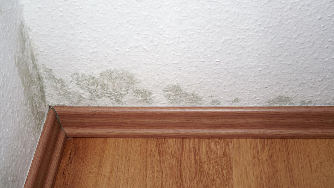 Feuchte Wände entstehen z.B. durch falsches Lüften oder defektes Mauerwerk.
