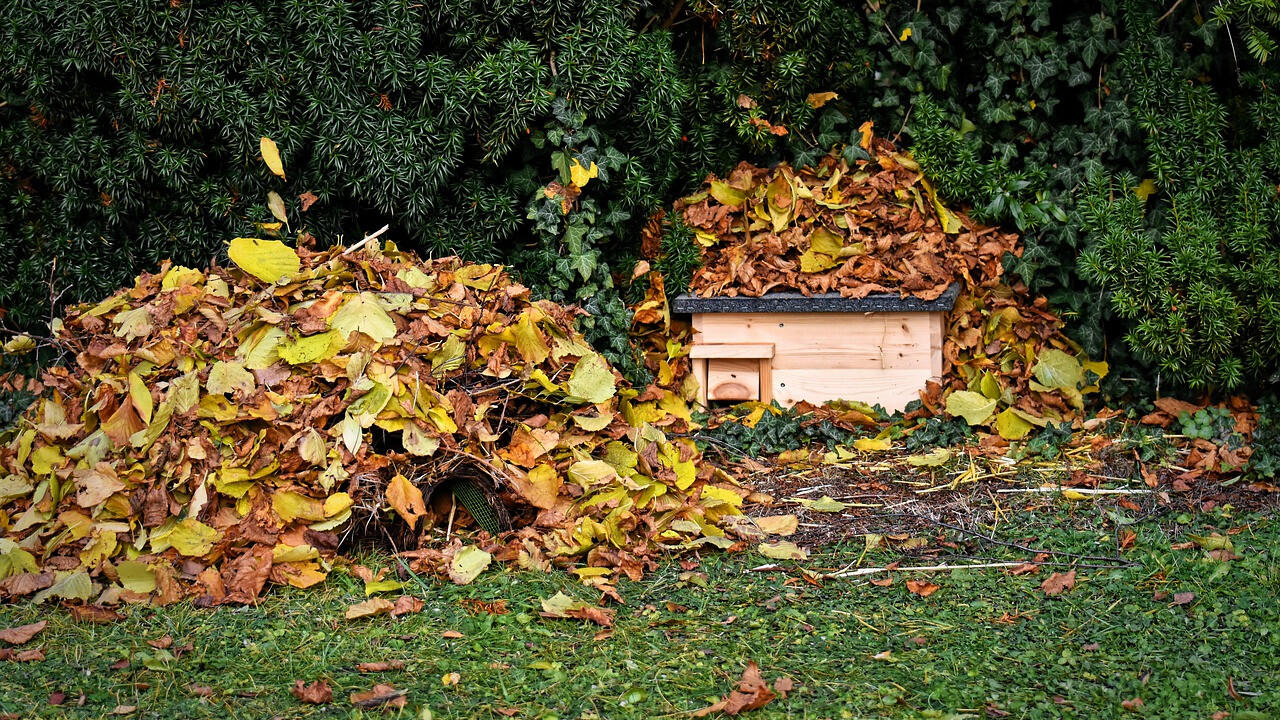 Das fertige Igelhaus stellen Sie am besten an eine Hecke und häufen nebenan Laub an.