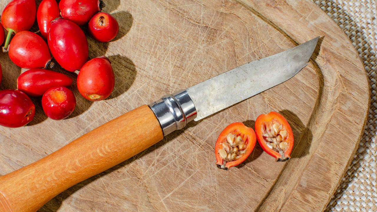 Vor dem ersten Frost enthalten Hagebutten mehr Vitamin C, später geerntete sind dafür süßer. Vor dem ersten Frost enthalten Hagebutten mehr Vitamin C, später geerntete sind dafür süßer.