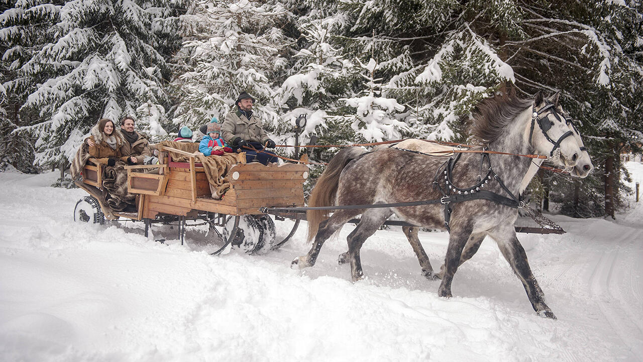 Im Salzburger Land können Gäste im Winter mit dem Pferdeschlitten durch die Natur fahren.