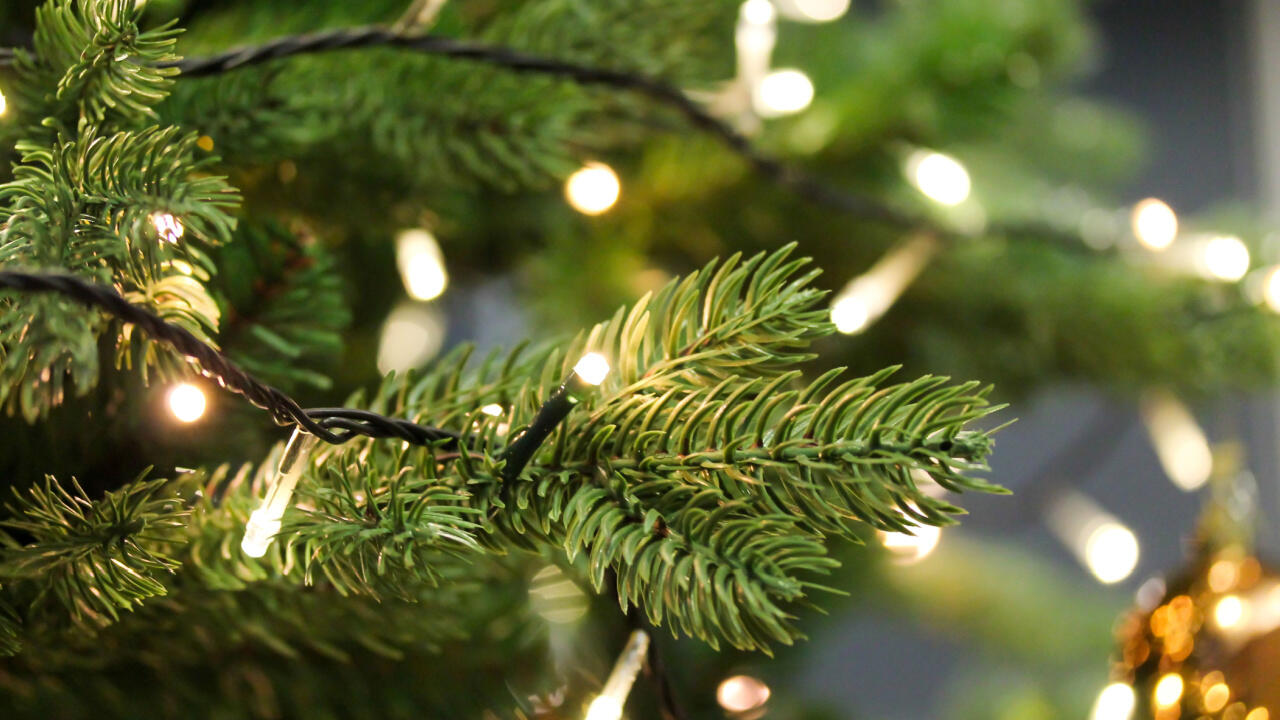 Setzen Sie an Weihnachten unbedingt auf LED-Lämpchen.