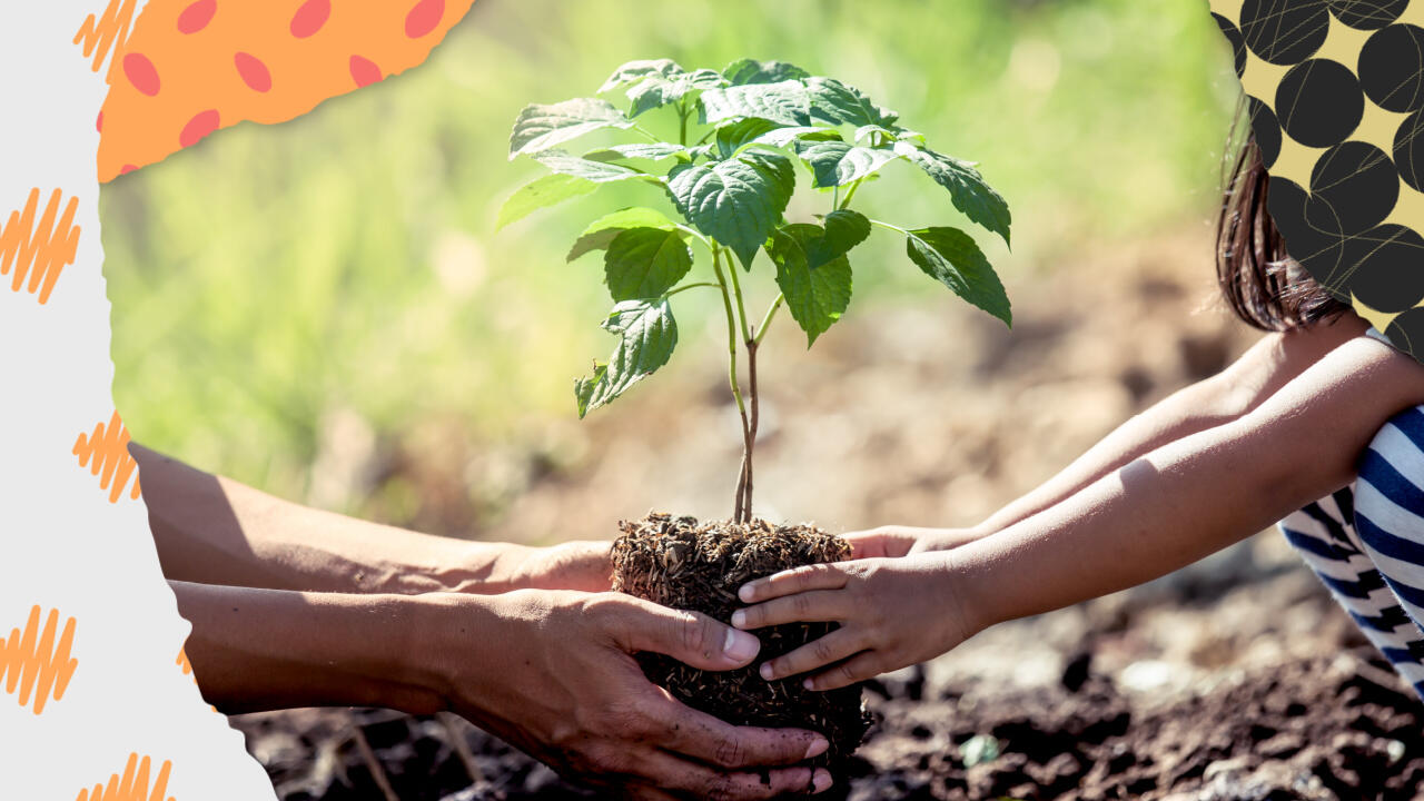 Ein Baum hat nicht nur starke Symbolkraft, sondern speichert auch CO2.