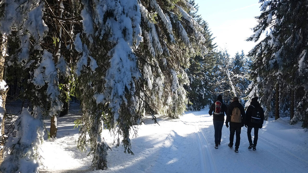 Auf den Spuren Goethes wandert man im Harz.