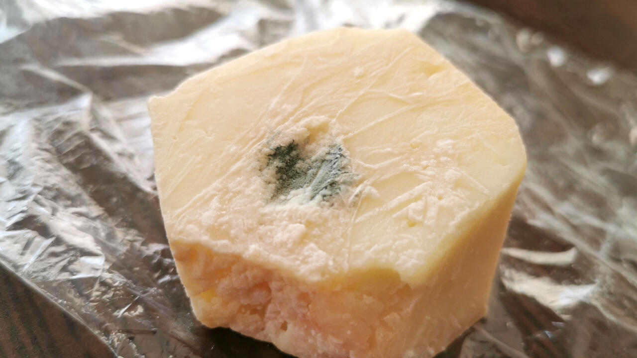 Dieser Käse weist – leider – die falsche Art Schimmel auf.
