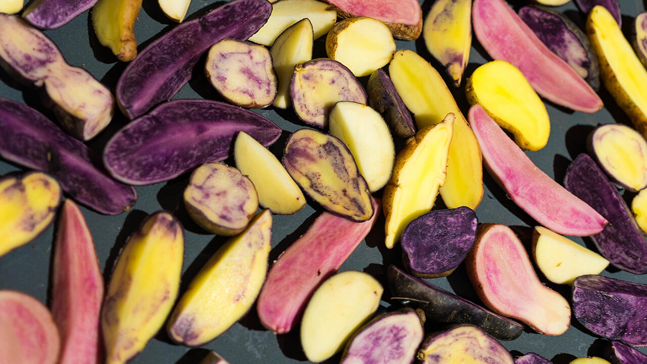 Alte Kartoffelsorten wie die Rote Emmalie schmecken intensiv und leuchten ungewohnt farbig.