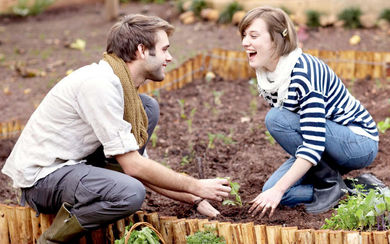 Bist du auch ein Gemüsefreund? Hat der Partner die gleichen Essensvorlieben, macht dies das Zusammenleben erheblich leichter und konfliktfreier.