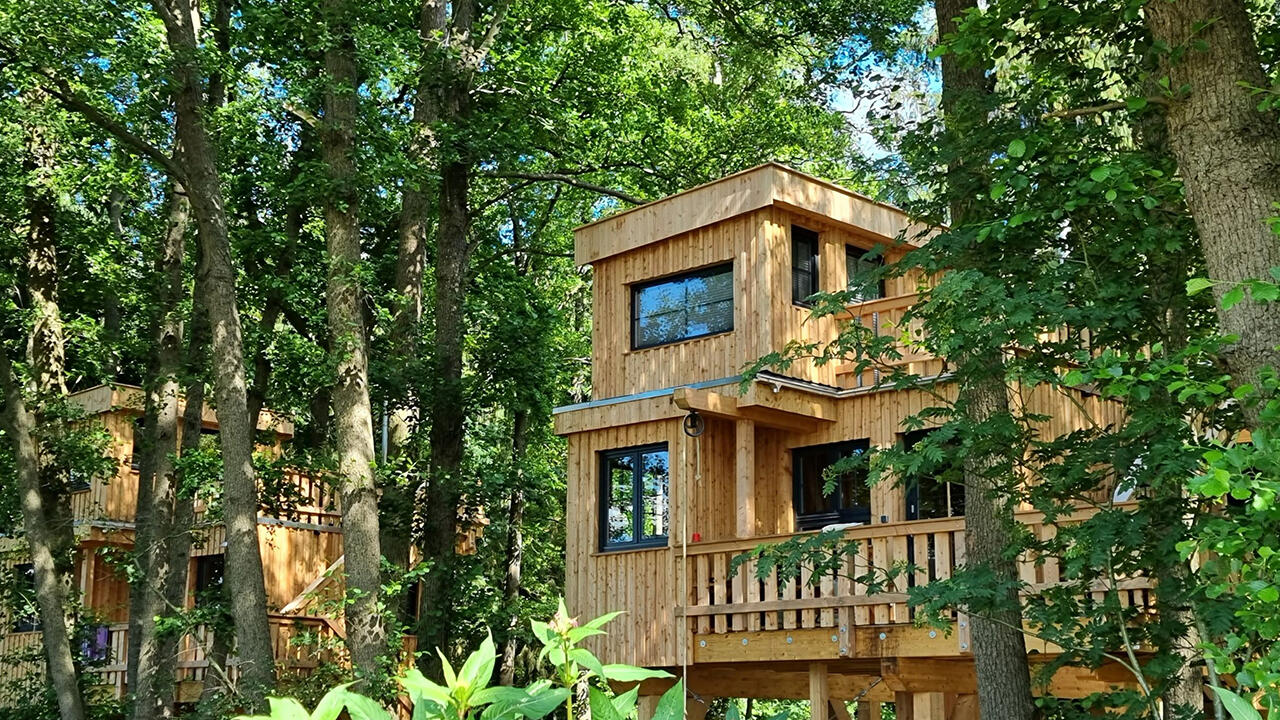 Die Baumhäuser im Naturressort "Land of Green" bieten Platz für 4 bis 5 Erwachsene.