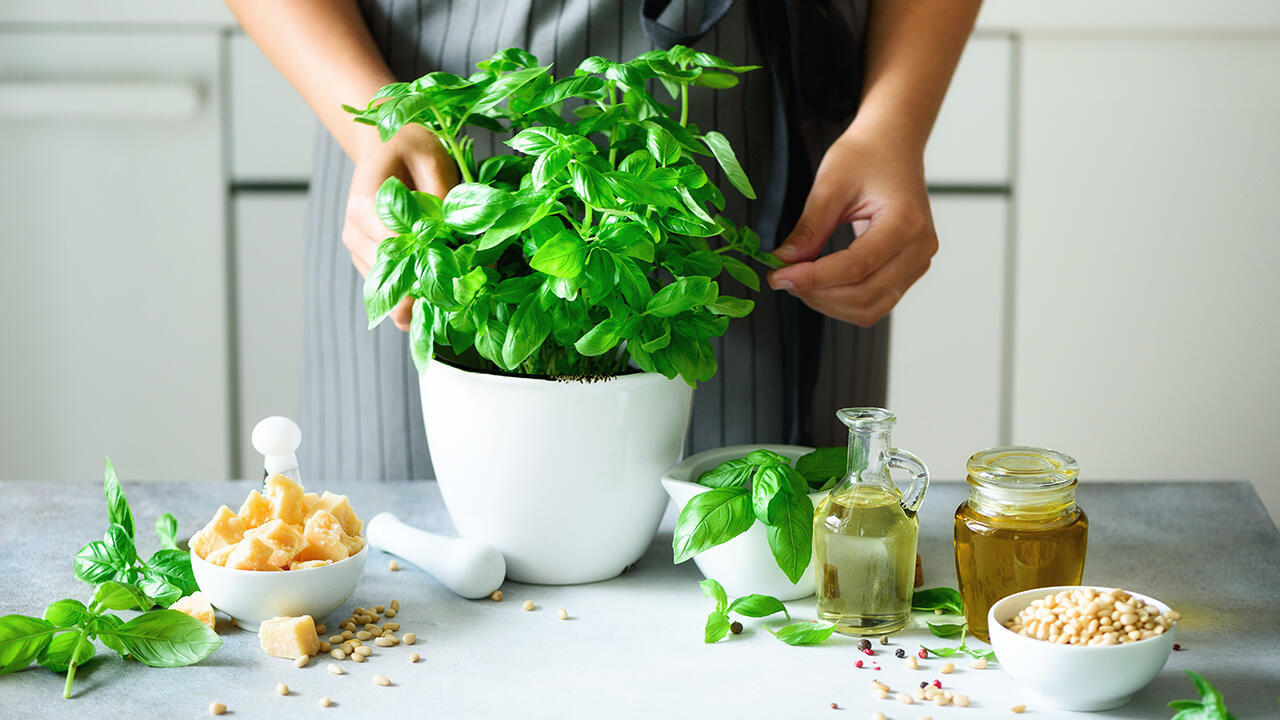 Pesto selber zu machen, ist nicht schwierig, wenige Zutaten reichen für die leckere Sauce.