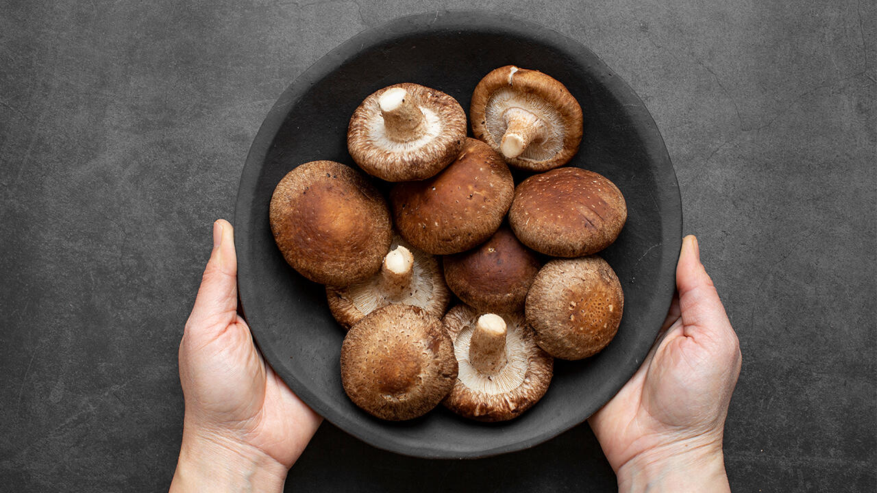 Shiitake-Pilze enthalten von Natur aus Formaldehyd.