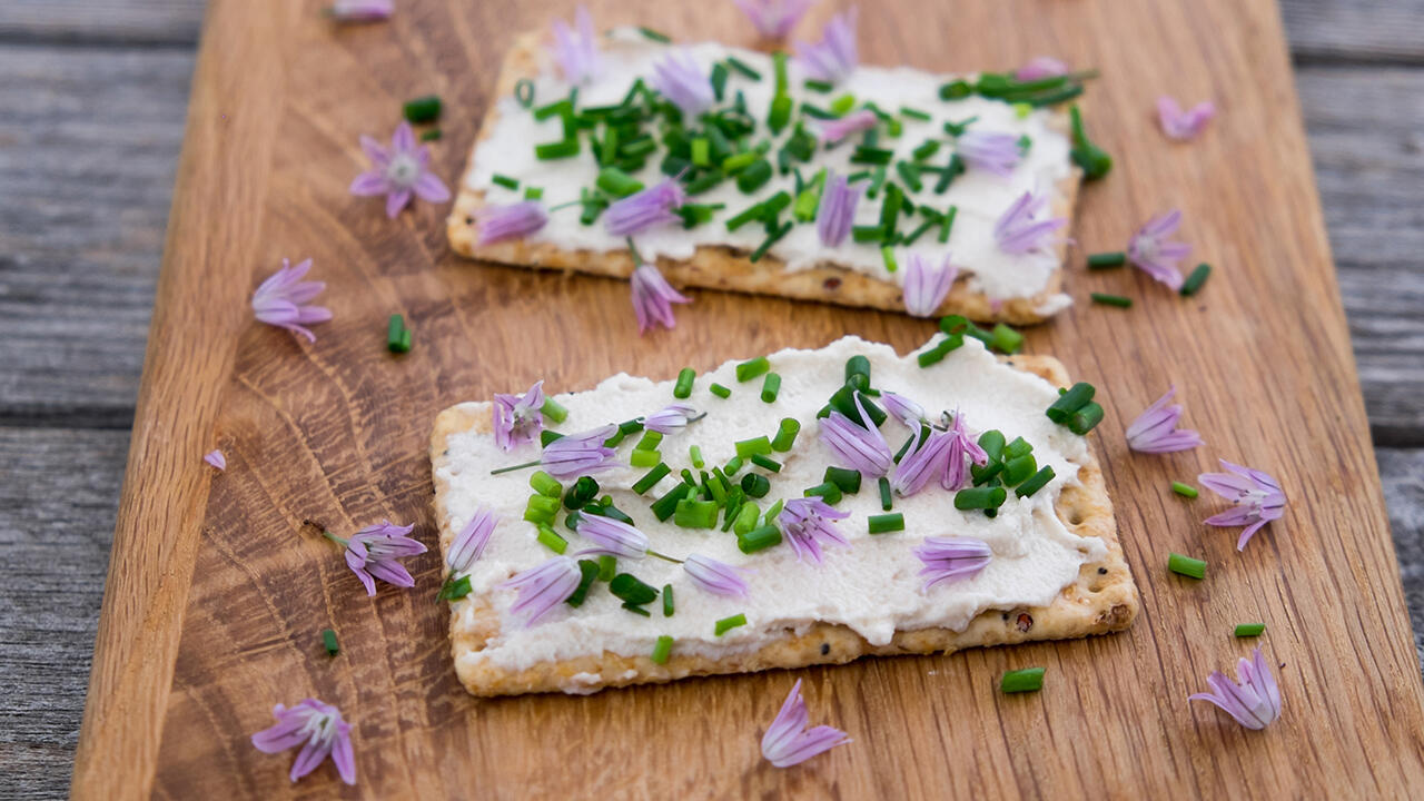 Veganer Frischkäse aus Cashewkernen und Macadamianüssen ist eine schmackhafte Alternativen zu der Variante aus Milch.