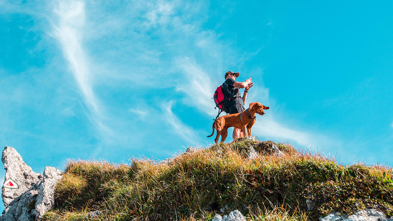 Wer seinen Hund mit in den Urlaub nehmen möchte, kann dies zum Beispiel beim Wandern in der Slowakei tun.