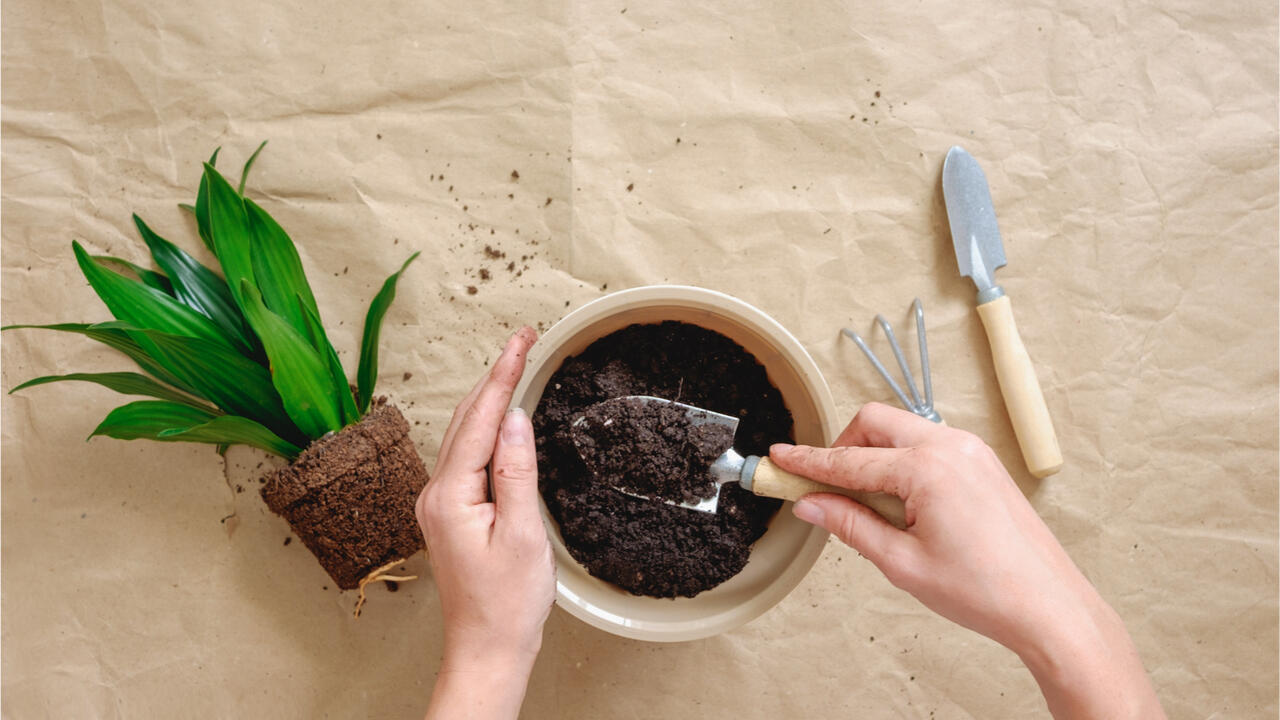 Torffreie Blumenerde schont die Umwelt und das Klima.