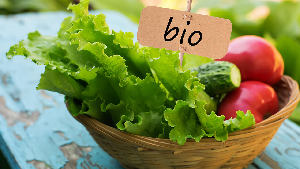 Nachhaltige und gesunde Ernährung für Kinder: Ökologische Landwirtschaft verursacht weniger Treibhausgase, verwendet weniger Antibiotika und verzichtet auf synthetische Pflanzenschutzmittel – im Vergleich zu den anderen Betrieben. Nachhaltige und gesunde Ernährung für Kinder: Ökologische Landwirtschaft verursacht weniger Treibhausgase, verwendet weniger Antibiotika und verzichtet auf synthetische Pflanzenschutzmittel – im Vergleich zu den anderen Betrieben.