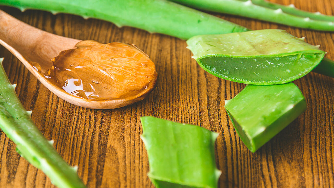 Das Gel der Aloe vera wirkt feuchtigkeitsspendend und kühlend. Dennoch sollte es nur sparsam eingesetzt werden. Das Gel der Aloe vera wirkt feuchtigkeitsspendend und kühlend. Dennoch sollte es nur sparsam eingesetzt werden.
