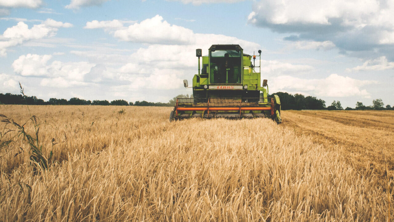 Auf Demeter-Höfen wird biodynamische Landwirtschaft betrieben, die im Idealfall der Kreislaufwirtschaft folgt.