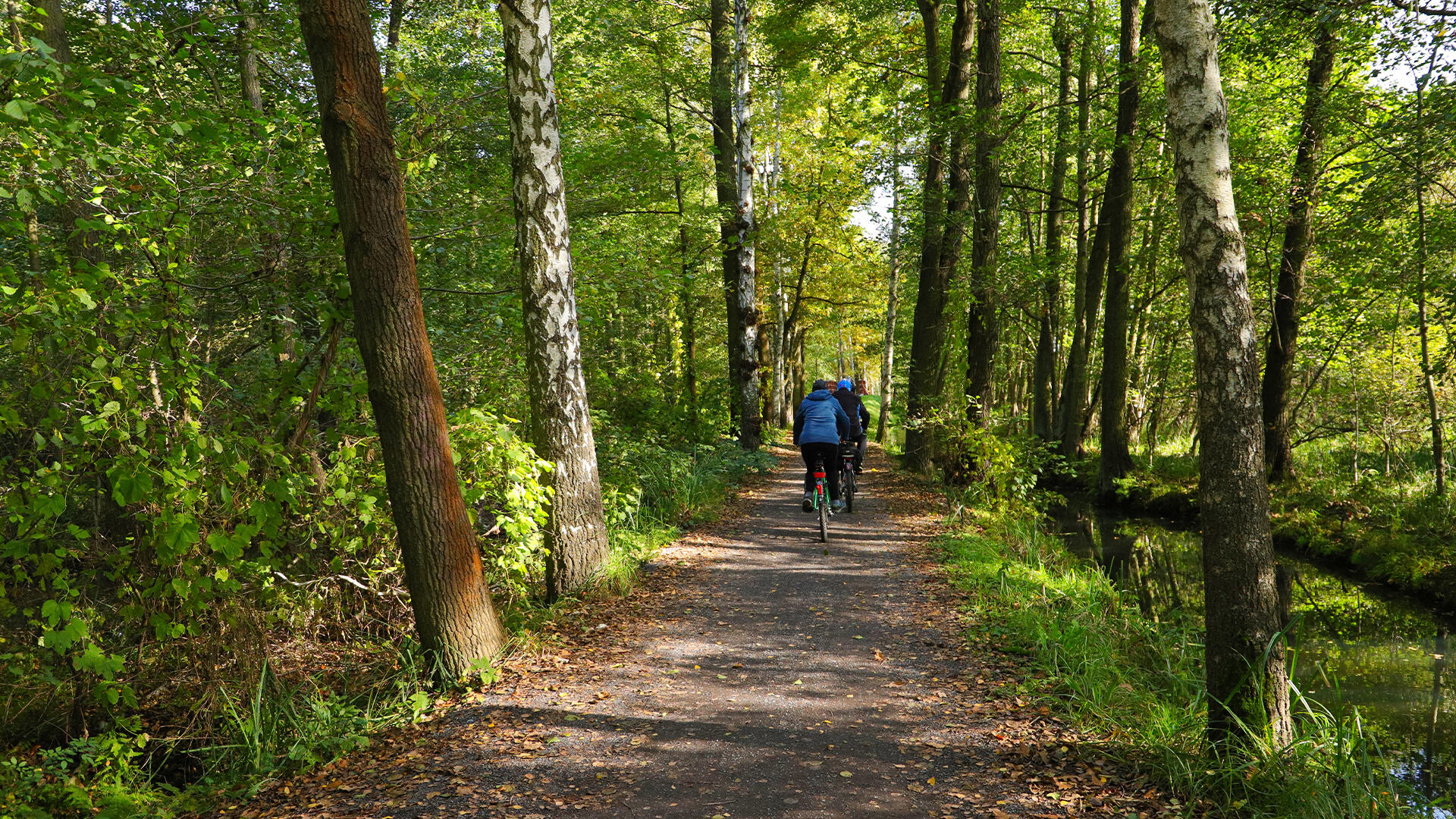 Auch in Deutschland lässt sich radeln, zum Beispiel im Spreewald. Auch in Deutschland lässt sich radeln, zum Beispiel im Spreewald.