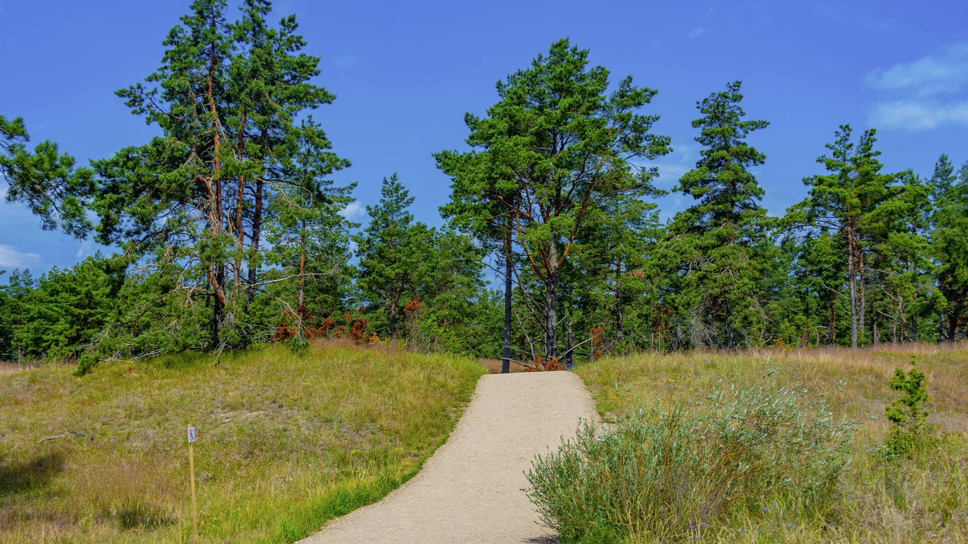 Die Kurische Nehrung in Litauen ist wie geschaffen für radelnde Naturfreunde. Die Kurische Nehrung in Litauen ist wie geschaffen für radelnde Naturfreunde.