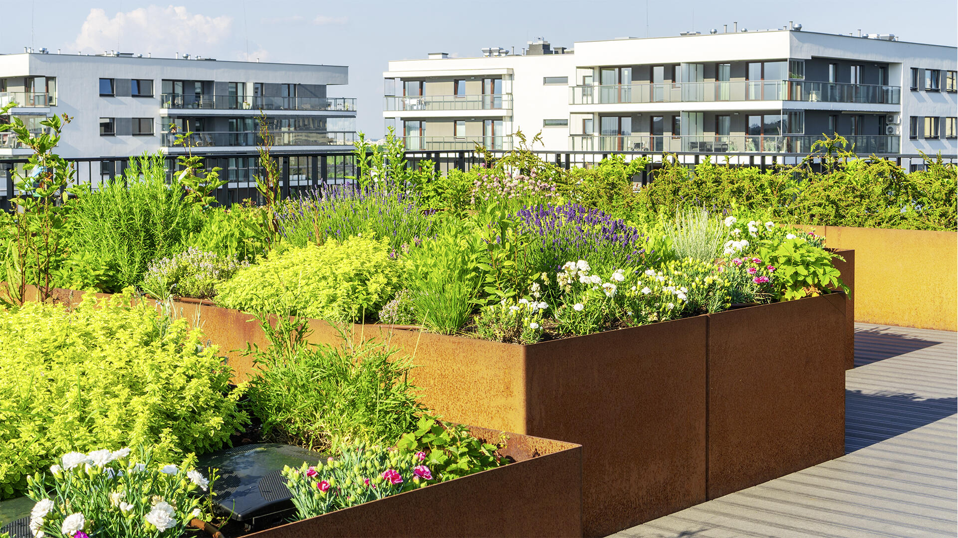 Hochbeete auf Balkonen geben Hobbygärtnerinnen und -gärtnern die Möglichkeit, in der Stadt zu gärtnern. 