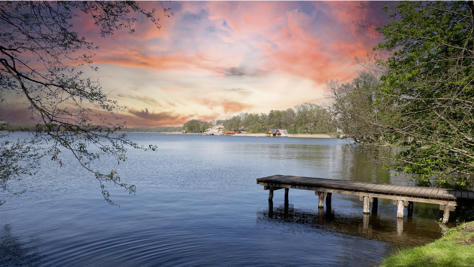 Die Gäste des Havelberge Camping Resorts in der Mecklenburgischen Seenplatte können bei der Aufforstung mithelfen. Die Gäste des Havelberge Camping Resorts in der Mecklenburgischen Seenplatte können bei der Aufforstung mithelfen.