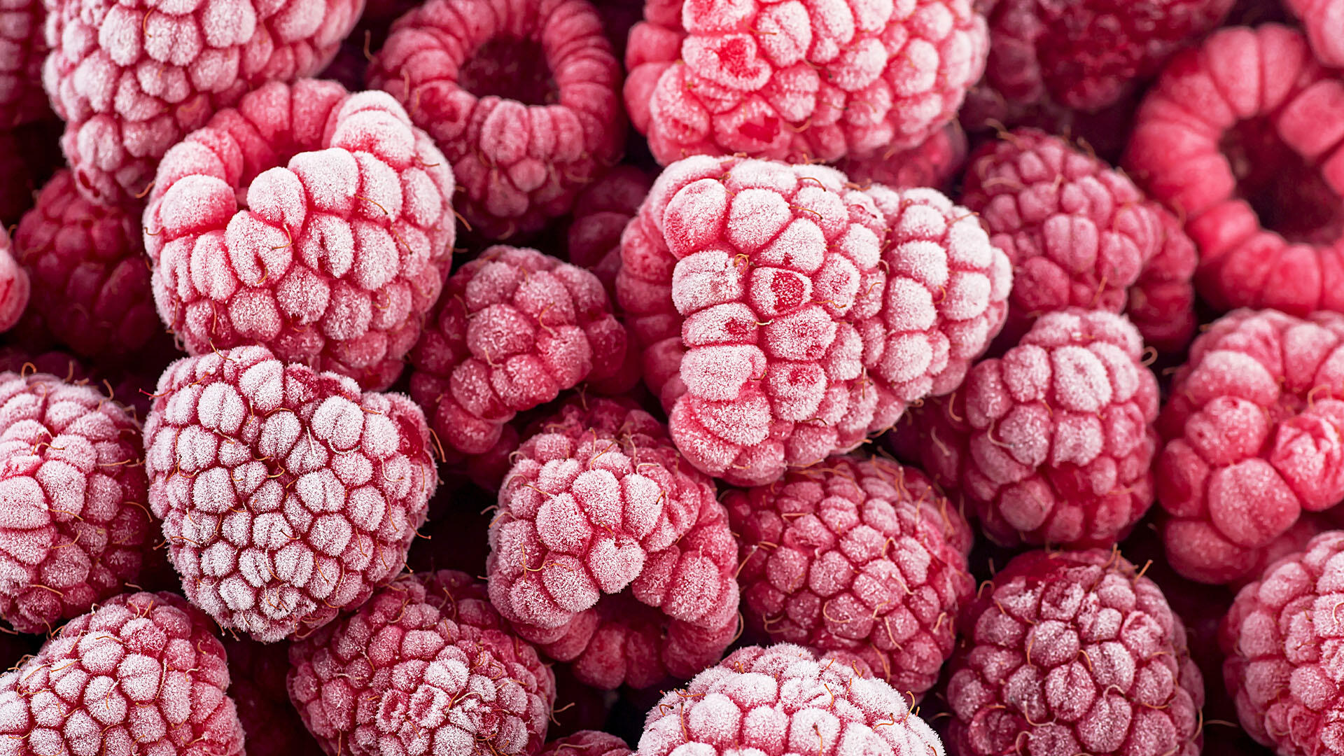 Wenn gerade keine Saison ist, können Sie Himbeeren auch aus der Tiefkühltruhe kaufen. Wenn gerade keine Saison ist, können Sie Himbeeren auch aus der Tiefkühltruhe kaufen.