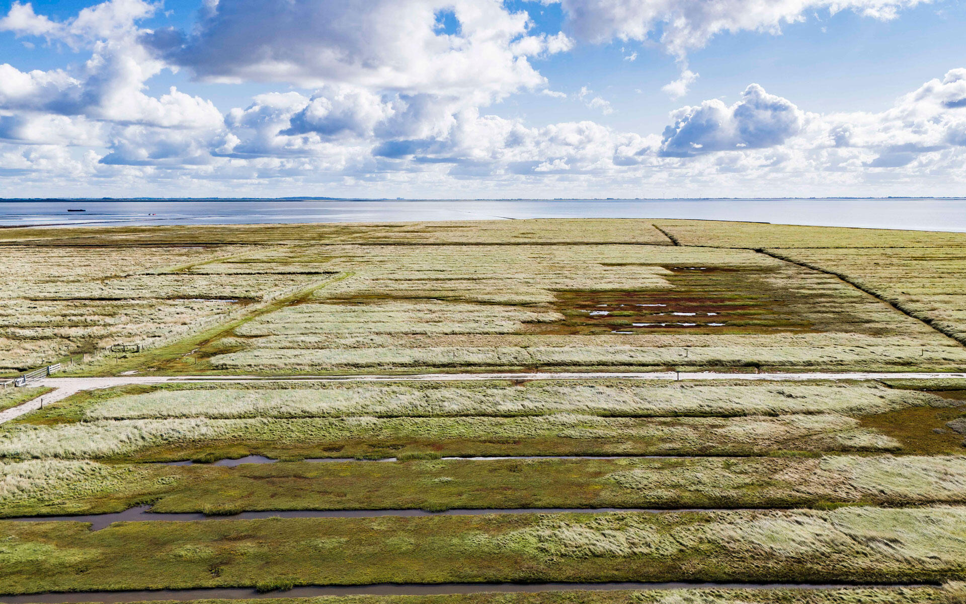 Vor 40 Jahren beschloss der Kieler Landtag die Einrichtung eines Nationalparks im schleswig-holsteinischen Wattenmeer. 2009 wurde das Wattenmeer von der Unesco als Weltnaturerbe anerkannt.