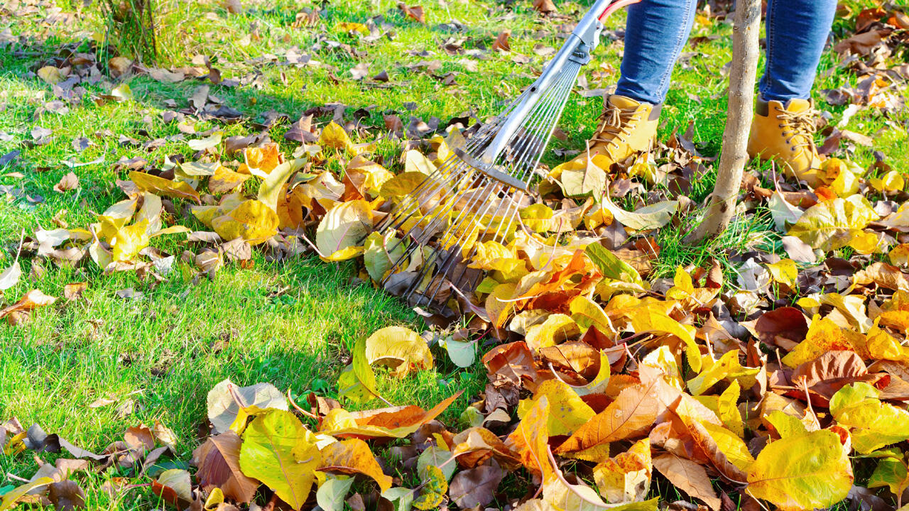 Solange es nachts nicht zu kalt ist, wächst der Rasen weiter – und muss gemäht werden. Solange es nachts nicht zu kalt ist, wächst der Rasen weiter – und muss gemäht werden.