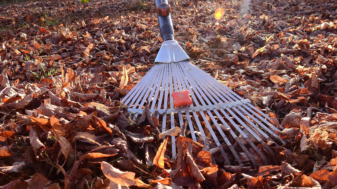 Besser als jeder Laubbläser: Der gute alte Rechen. Besser als jeder Laubbläser: Der gute alte Rechen.