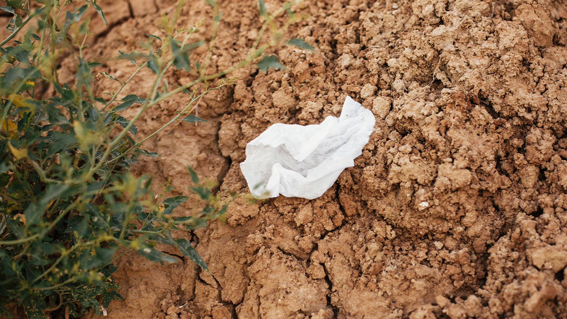 Auch wenn "kompostierbar" auf der Verpackung steht – Feuchttücher haben nichts auf dem Kompost oder in der Toilette verloren.