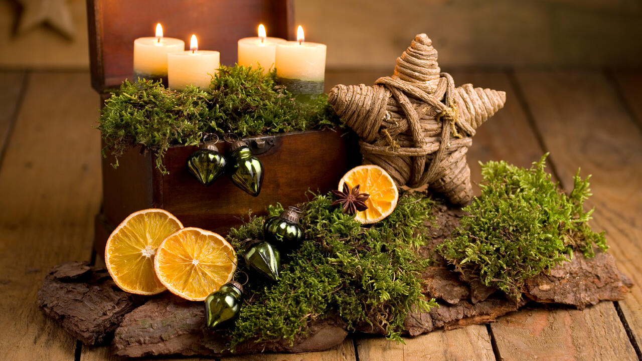 Nicht alle Moosarten dürfen aus dem Wald mitgenommen werden. Nicht alle Moosarten dürfen aus dem Wald mitgenommen werden.