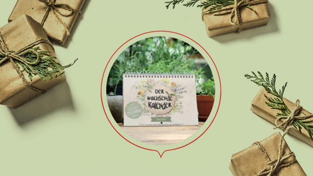 Der wachsende Kalender – ein Geschenk mit Sinn Der wachsende Kalender – ein Geschenk mit Sinn