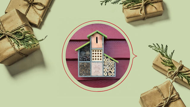 Insektenhotel als Weihnachtsgeschenk: Gibt's gekauft – kann aber auch selbst gemacht werden. Insektenhotel als Weihnachtsgeschenk: Gibt's gekauft – kann aber auch selbst gemacht werden.