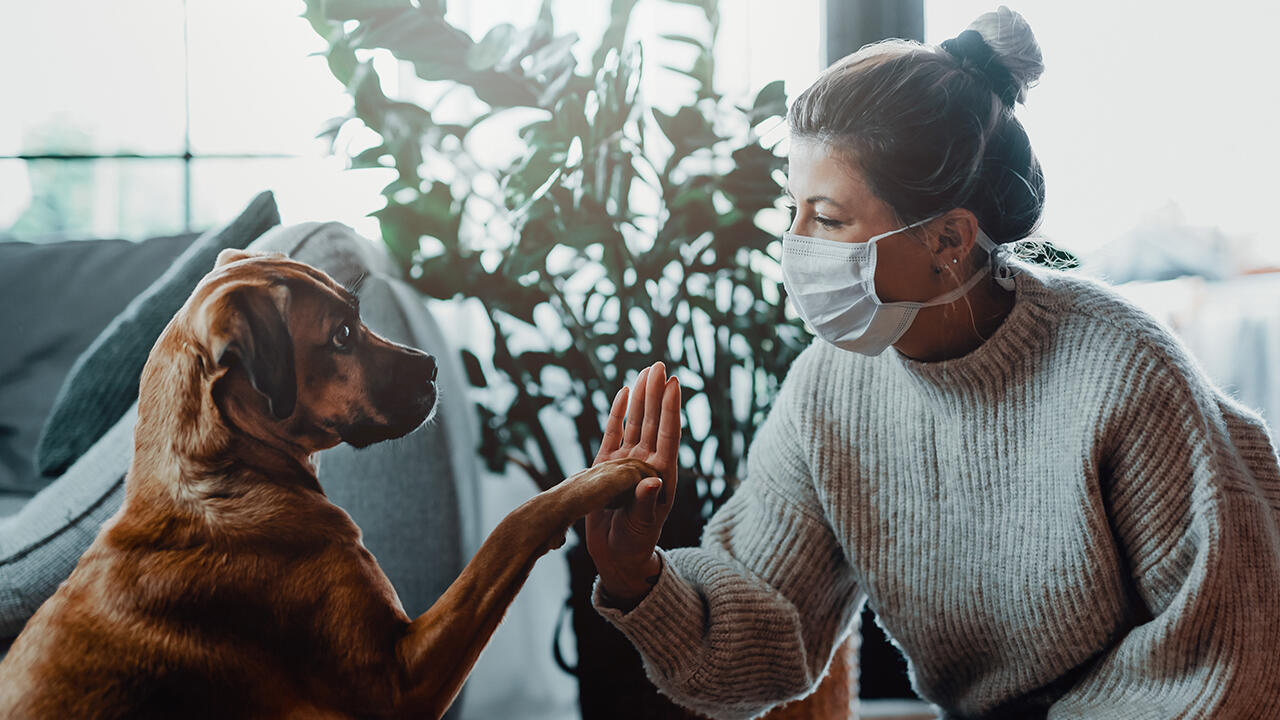 Während des Corona-Lockdowns haben sich viele Menschen in Deutschland ein Haustier zugelegt - weil Hund, Katze, Maus beschäftigt werden wollen und eine soziale Lücke schließen können.