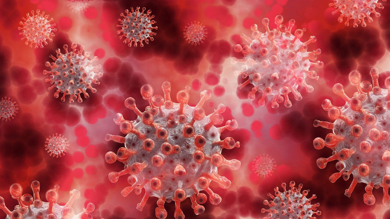 Das Coronavirus führt auch bei milden Covid-19-Verläufen zu erheblichen Folgeschäden. Das Coronavirus führt auch bei milden Covid-19-Verläufen zu erheblichen Folgeschäden.
