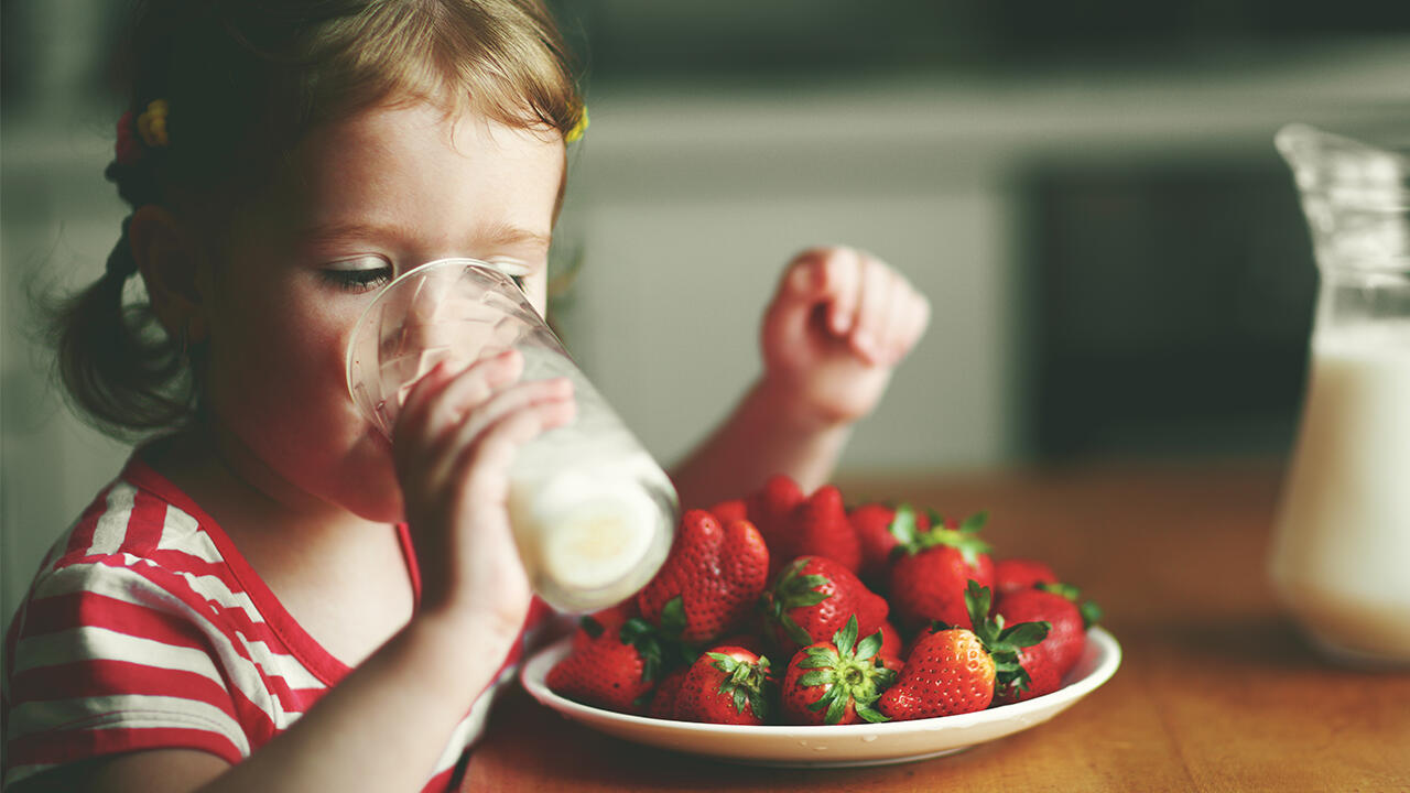 Es wird viel diskutiert, ob Milch ungesund oder gesund ist. Es wird viel diskutiert, ob Milch ungesund oder gesund ist.