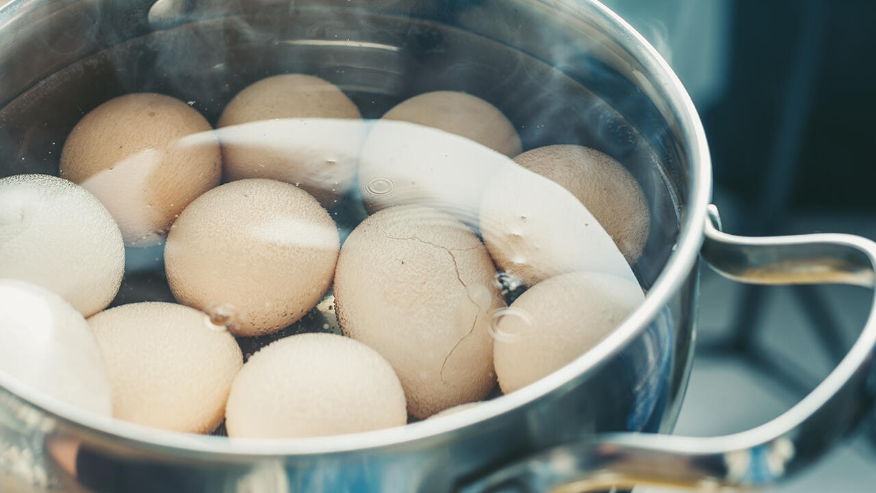 In Deutschland werden haufenweise Eier verzehrt – nach wie vor sind viele Eier mit Kükenschreddern darunter.