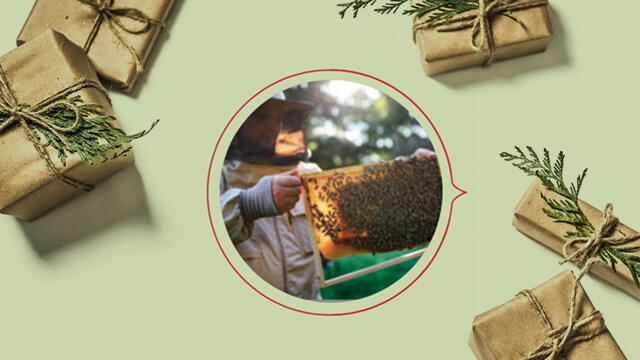 Bienenzüchten für Anfänger – ein prickelndes Zeit-Geschenk