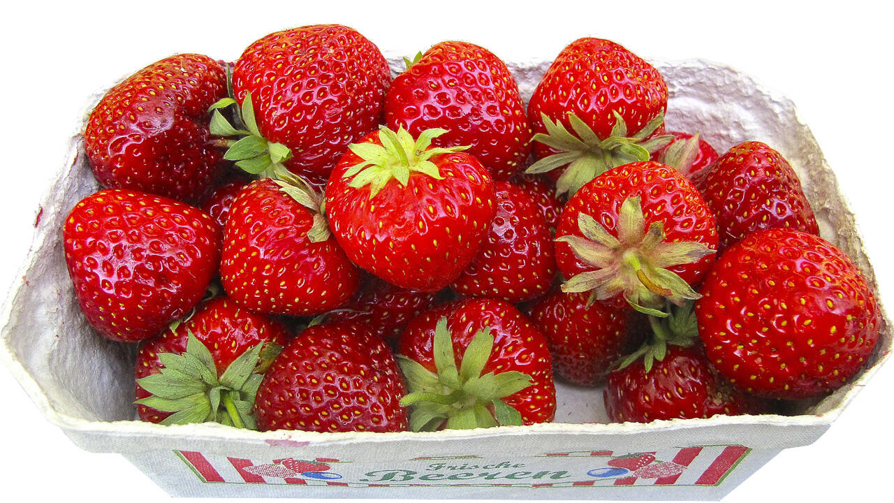 Früherdbeeren schädigen die Umwelt, da sie im Anbau viel Wasser benötigen und einen weiten Transportweg haben.