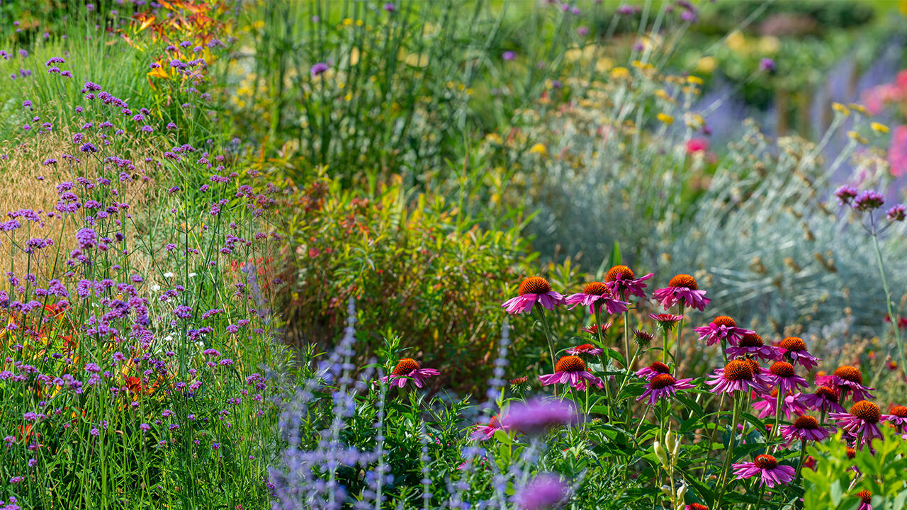 Gartenarbeit: Im April lassen sich Stauden gut pflanzen. Gartenarbeit: Im April lassen sich Stauden gut pflanzen.