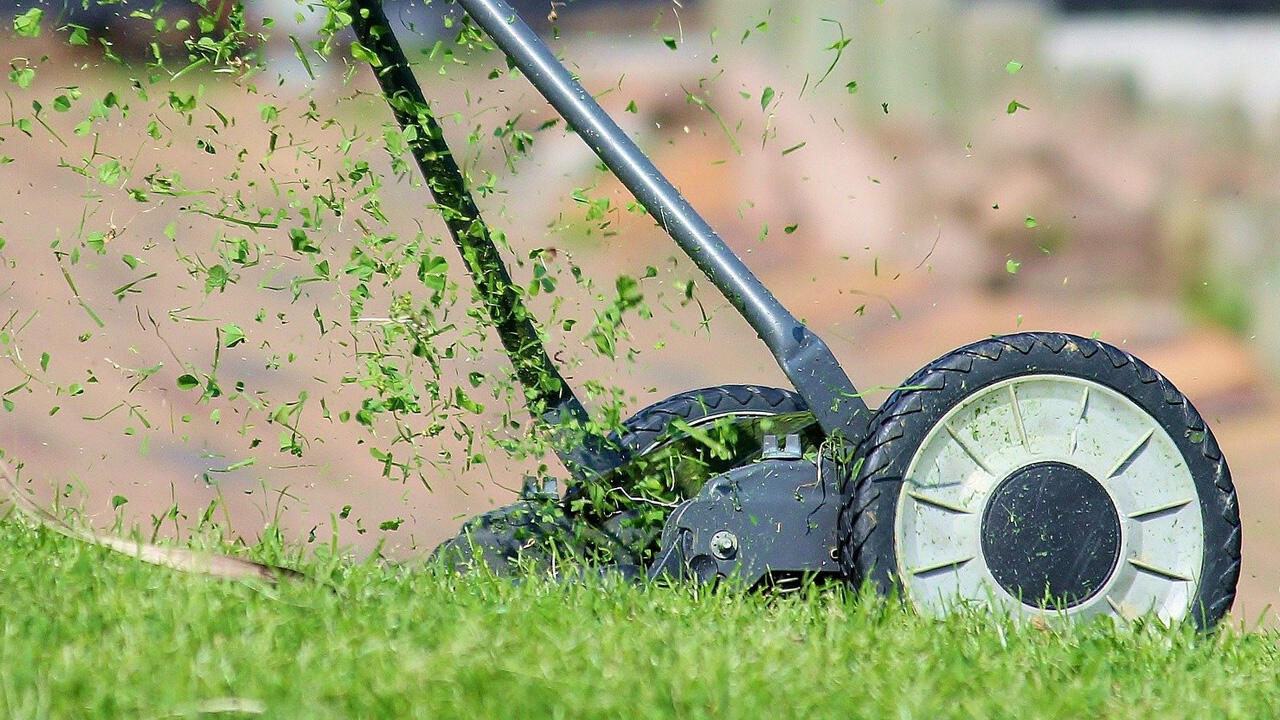 Der richtige Zeitpunkt für den ersten Schnitt: Wenn die Halme acht Zentimeter lang sind Der richtige Zeitpunkt für den ersten Schnitt: Wenn die Halme acht Zentimeter lang sind
